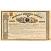 Image 1 : American Express Company Stock Certificate