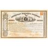 Image 1 : American Express Company Stock Certificate