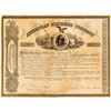 Image 1 : American Express Company Stock Certificate to Johnston Livingston