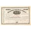 Image 1 : South Hite Gold Mining Company Stock