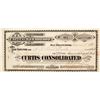 Image 1 : Curtis Consolidated Mining Company #2