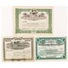 Image 1 : Oro Mining Stock Certificate lot