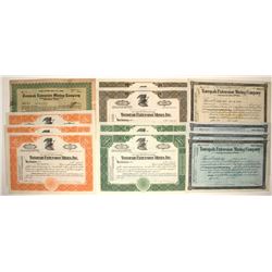 Tonopah Extension Mining Company stock collection