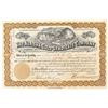 Image 1 : Alaska Gold Syndicate Company Stock
