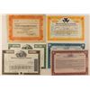 Image 1 : Auto. Stock Certificates Variety 1