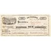 Image 1 : Peoples Ice Company Stock Certificate