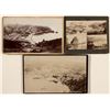 Image 1 : Catalina Mounted Photos