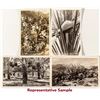 Image 2 : Indio, The Date Capitol, 28 Postcards