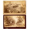 Image 1 : Two Cabinet Cards, Southern California