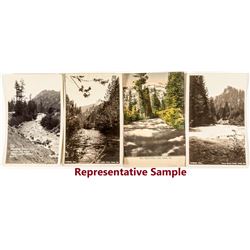 Lake Tahoe River Photo Postcards