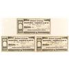 Image 1 : National Exchange Hotel Company Stock Certificates (3)