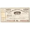 Image 1 : Nevada and Mountain Lakes Ice Co. Stock Certificate