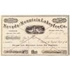 Image 1 : Nevada and Mountain Lakes Ice Co. Stock Certificate