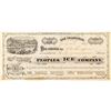 Image 1 : Peoples Ice Company Stock Certificate