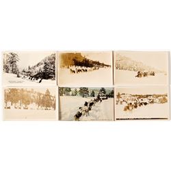 Six Postcards of Dog Sleds Truckee