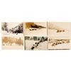 Image 1 : Six Postcards of Dog Sleds Truckee
