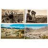 Image 1 : Desert Postcards