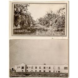 Cortez Real Photo Postcards