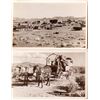 Image 1 : Two Goldfield Frasher Postcards