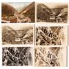 Image 1 : Six Bingham Canyon Cards