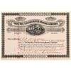 Image 1 : Iron Hill Consolidated Mining Company Stock Certificate