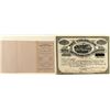 Image 1 : Prospectus & Stock for The Colorado Mine Developing Company