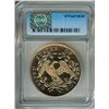 Image 2 : 1795 (2004) FLOWING HAIR NICKEL PATTERN DOLLAR  ICG PR67 LIMITED EDITION!