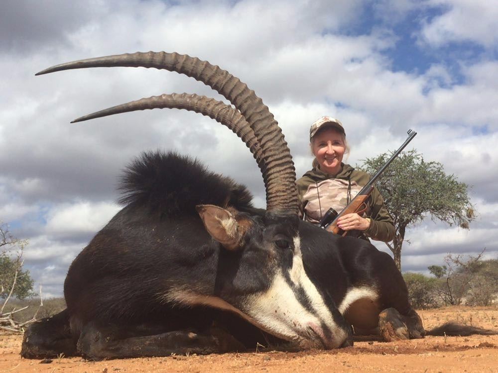 Sable Hunter 5-Day Bull Sable Hunt for One Hunter and One Non-Hunter in South Africa ...