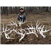 Image 1 : Multi-Trip Whitetail/Turkey Hunt and Wildlife Management Experience for Two Hunters in Michigan - In