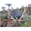 Image 1 : 4-Day Iberian Red Deer Hunt for Two Hunters in Spain - Includes Trophy Fees
