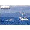 Image 1 : 5-Day Tower Boat Fishing Getaway for Two Anglers in Costa Rica