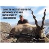 Image 1 : SAAM™ Precision & Safari Hunt Combo for Two Hunters in Texas - Includes Trophy Fee Credit