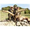 Image 1 : 6-Day Beceite Ibex Hunt for Two Hunters in Spain - Includes Trophy Fees
