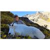 Image 1 : 10-Day Mountain Goat Hunt for One Hunter in British Columbia - Includes Trophy Fee