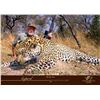 Image 1 : 14-Day Dangerous Game Leopard/Buffalo Hunt for One in Matetsi, Zimbabwe - Includes Trophy Fees and G