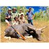 Image 1 : 6-Day Banteng Bull Hunt for One Hunter in Australia - Includes Trophy Fee