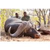Image 1 : 7-Day Cape Buffalo Hunt for One Hunter in Mozambique - Includes Trophy Fee