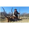 Image 1 : 12-Day Plains Game and Wingshooting Safari for Two Couples in South Africa - Includes Trophy Fees an