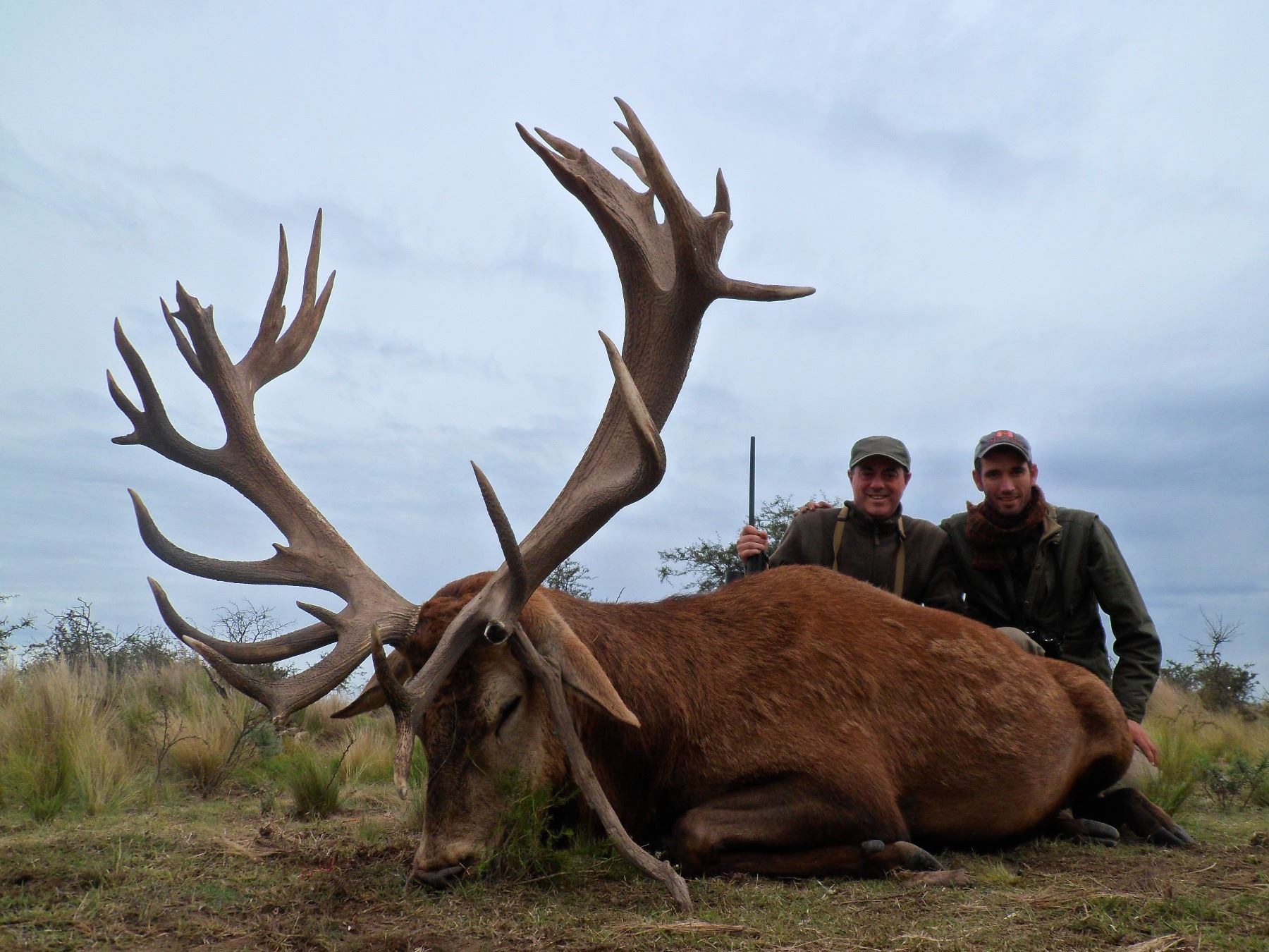 4-Day Red Stag Hunt for Three Hunters in Argentina - Includes Trophy ...