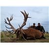 Image 1 : 4-Day Red Stag Hunt for Three Hunters in Argentina - Includes Trophy Fees