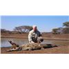 Image 1 : 10-Day Crocodile, Kudu and Ostrich Hunt for One Hunter in South Africa - Includes Trophy Fees