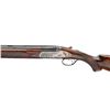 Image 2 : Fausti O/U Class RDX 20 GA and 28 GA Shotgun Package