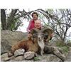 Image 1 : 4-Day Exotic Game Hunt for Two Hunters in Hondo, Texas - Includes Trophy Fees