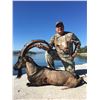Image 1 : 5-Day Kri-Kri Ibex Hunt for One Hunter and One Non-Hunter in Greece - Includes Trophy Fee
