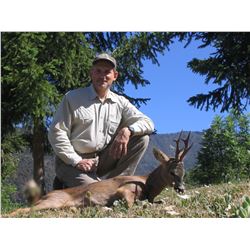 4-Day Roe Deer Hunt for Two Hunters and Two Non-Hunters in Spain - Includes Trophy Fees and 3-Day To