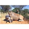 Image 1 : 6-Day/7-Night Plains Game Safari for One Hunter in South Africa - Includes Trophy Fees