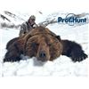 Image 1 : 9-Day Kamchatka Brown Bear Hunt for One Hunter in  Russia - Includes Trophy Fee