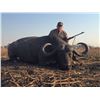 Image 1 : 7-Day Cape Buffalo Hunt for One Hunter and One Non-Hunter in Zambia - Includes Trophy Fee