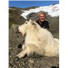 Image 1 : 5-Day Mountain Goat Hunt for One Hunter in Alaska - Includes Trophy Fee