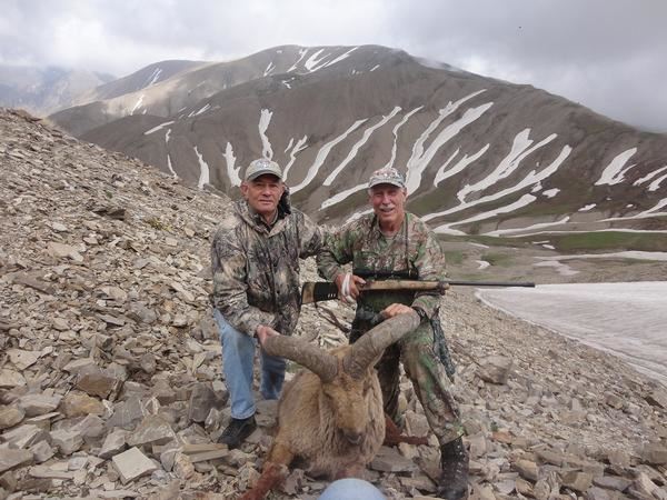 5-day Azerbaijan hunt for Dagestan (Eastern) Tur for one hunter ...